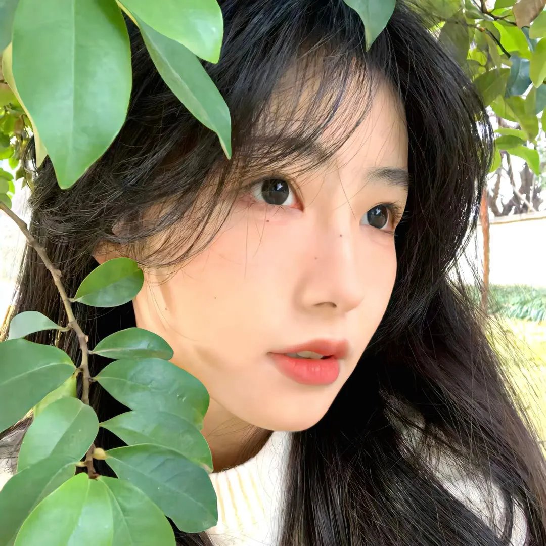 高草魅声